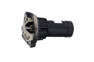 STARTER REMANTE 011001000133R 11