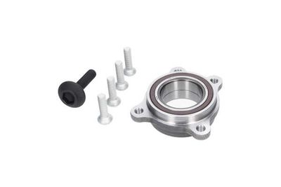 SET RULMENT ROATA Kavo Parts WBK10116 11