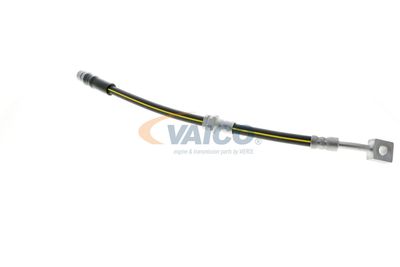 FURTUN FRANA VAICO V404110 44