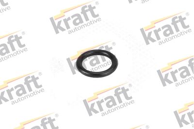 Seal Ring, cylinder head cover bolt 1121550