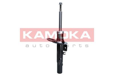 Shock Absorber 2000507