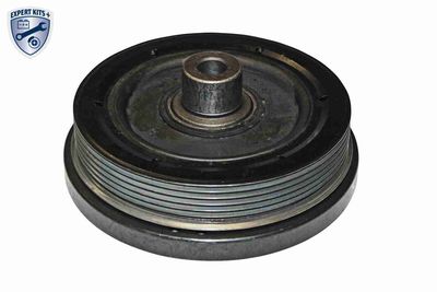 SET FULIE ARBORE COTIT VAICO V251723 1
