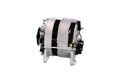 GENERATOR / ALTERNATOR REMANTE 011003000066R 13