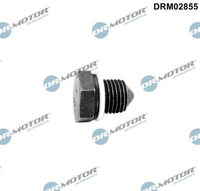 Screw Plug, oil sump DRM02855