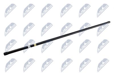 Smeigė, torsiono strypas