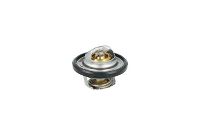 TERMOSTAT LICHID RACIRE NRF 725544 38