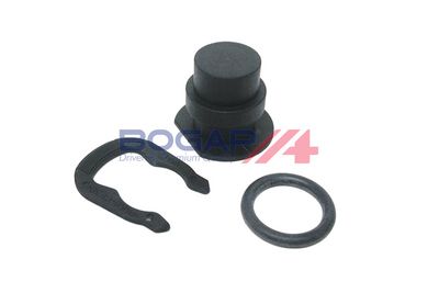 CAPAC FLANSA SISTEM DE RACIRE