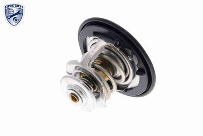 TERMOSTAT LICHID RACIRE ACKOJA A26990007 10
