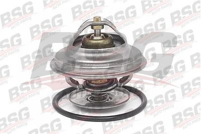BSG BSG 60-125-002 Термостат 