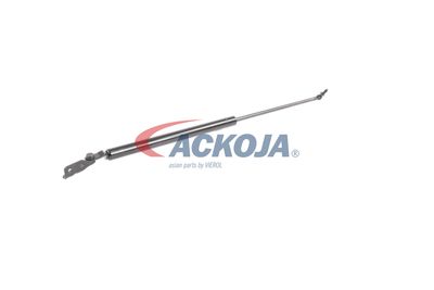 FILTRU AER ACKOJA A320034 54