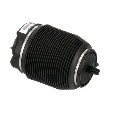 LUFTFEDER FAHRWERK Arnott A2960 42