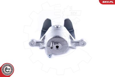 Brake Caliper 50SKV772