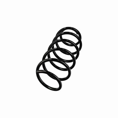 ARC SPIRAL EIBACH R11019 2