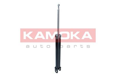 Shock Absorber 2000939