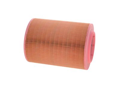 FILTRU AER BOSCH 1457429795 12