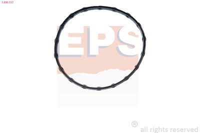 GARNITURA TERMOSTAT EPS 1890737