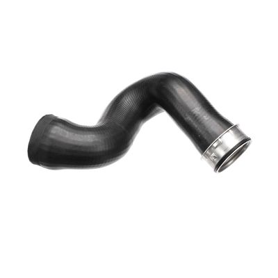 LADELUFTSCHLAUCH GATES 090209 25