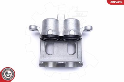 Brake Caliper 55SKV012