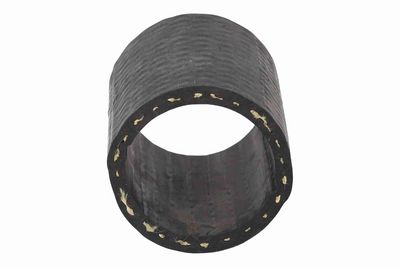 FURTUN EAR SUPRAALIMENTARE ACKOJA A701304 5