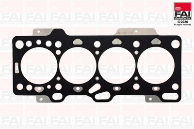 гарнитура, цилиндрова глава FAI AutoParts HG2192