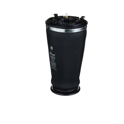 LUFTFEDER FAHRWERK Arnott A2610 49