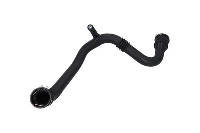 FURTUN EAR SUPRAALIMENTARE