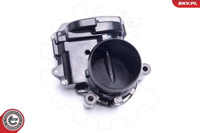 Throttle Body 12SKV112