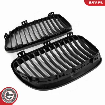 GRILA RADIATOR ESEN SKV 66SKV113 5