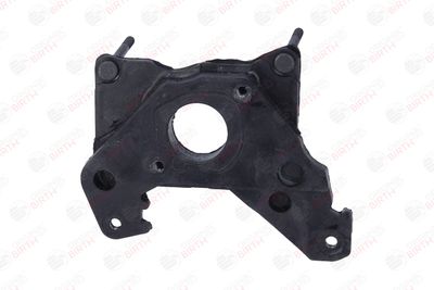 FLANSA CARBURATOR BIRTH 9090 1