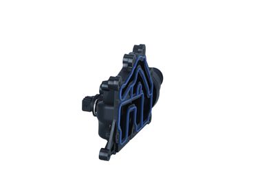 TERMOSTAT LICHID RACIRE NRF 725053 19