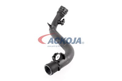 FURTUN EAR SUPRAALIMENTARE ACKOJA A380387 47