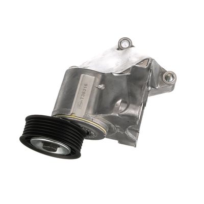 INTINZATOR CUREA CUREA DISTRIBUTIE GATES T38316 56