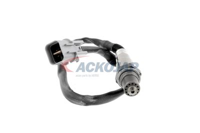 SONDA LAMBDA ACKOJA A53760012 14
