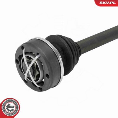 PLANETARA ESEN SKV 40SKV260 2