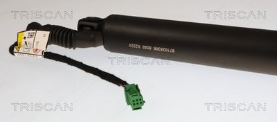 Plynárenská vzpera (pneumatická pružina), zavazadlový priestor TRISCAN 8710 28306