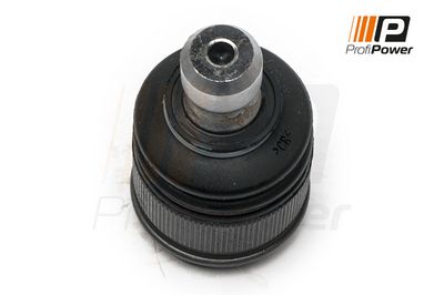 Šarnyras / girgždukas