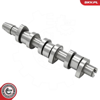 Vačkový hřídel ESEN SKV 80SKV030
