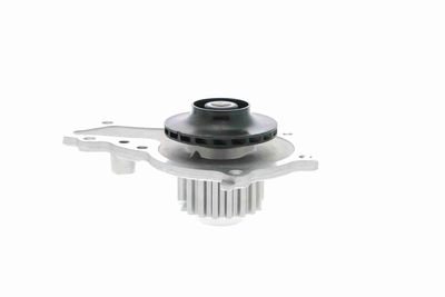 WASSERPUMPE MOTORKüHLUNG VAICO V2550006 3