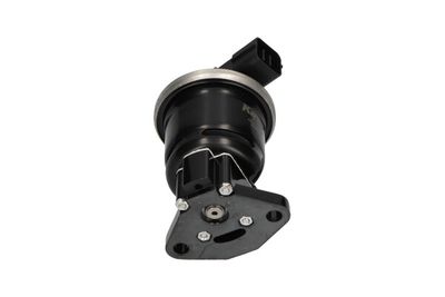 SUPAPA EGR Kavo Parts EEG2006 3