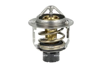 TERMOSTAT LICHID RACIRE NRF 725451 1