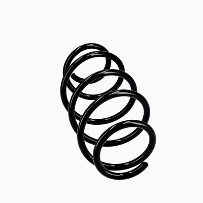 ARC SPIRAL EIBACH R10302 24