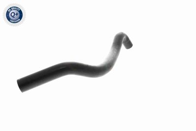 KüHLERSCHLAUCH VAICO V102807 9