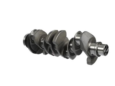 ARBORE COTIT ET ENGINETEAM HK0220 21