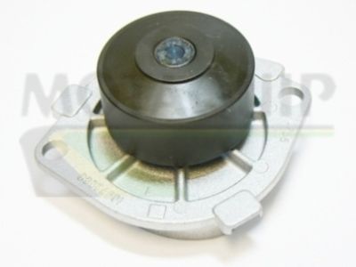 MOTAQUIP VWP786 Помпа (водяной насос)  для FIAT BRAVO (Фиат Браво)