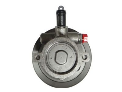 HYDRAULIKPUMPE LENKUNG SPIDAN 53689 1