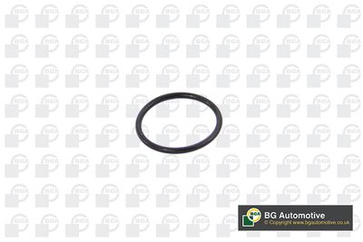 BGA AG0670 BGA AG0670