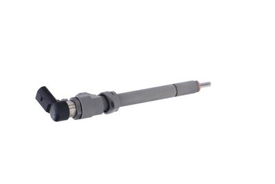 INJECTOR REMANTE 002003000081R 37