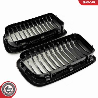 GRILA RADIATOR ESEN SKV 66SKV212 5