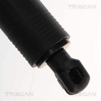 Amortizor portbagaj TRISCAN 8710 23322