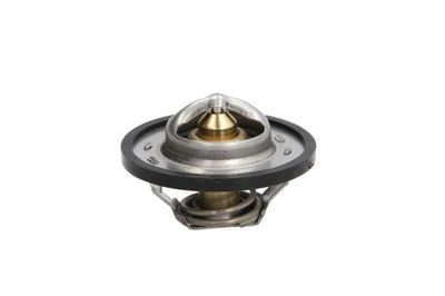 Thermostat, coolant D2C001TT